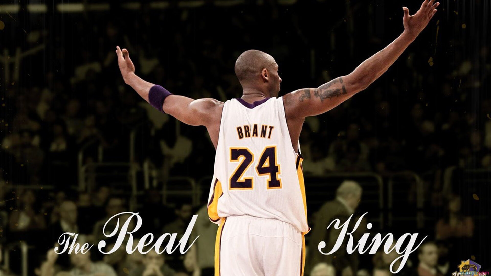 英超争冠焦点战，黄蜂收割吉林队，一场跨越时空的体育隐喻